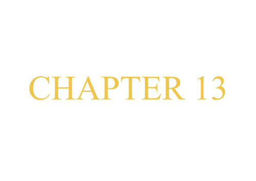 CHAPTER 13