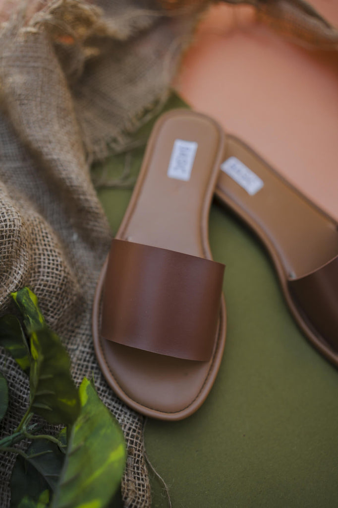 Slides | Sand Dunes - CHAPTER 13