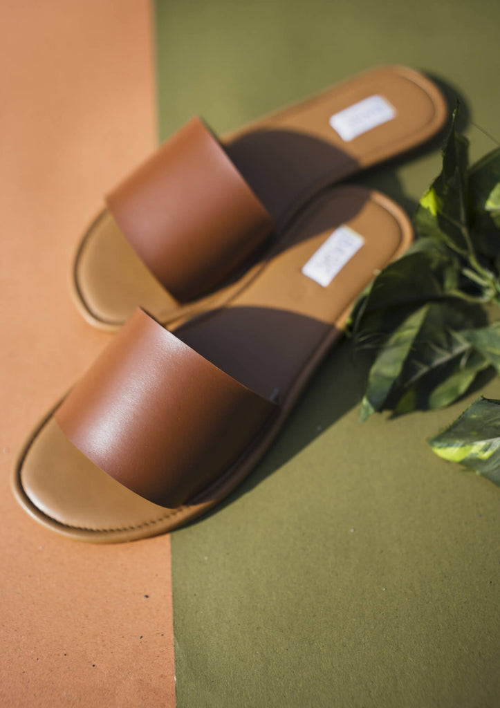 Slides | Sand Dunes - CHAPTER 13